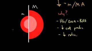 Clinical Approach to Anemia [upl. by Brigit555]