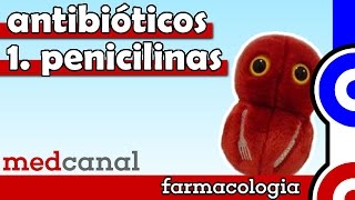 Penicilinas  ANTIBIOTICOTERAPIA Vídeo 1 [upl. by Jansen683]