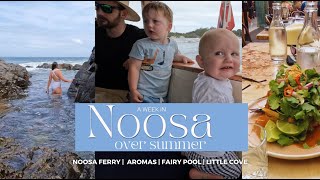 A week in Noosa over summer  Fairy Pool  Little Cove  Aromas  Bang Bang  Noosa Ferry [upl. by Nyleahs218]