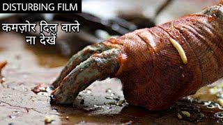 Decaying Body Of A Girl  Thanatomorphose 2012 Slasher Movie Explained in Hindi  Movies Ranger [upl. by Irim]