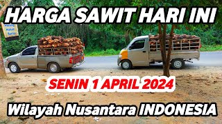 HARGA SAWIT HARI INI TERBARU 1 APRIL 2024 Wilayah Daerah Nusantara INDONESIA [upl. by Winsor983]