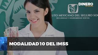 Modalidad 10 del IMSS  Dinero en Imagen [upl. by Aisa324]