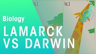 Theories of evolution Lamarck vs Darwin  Evolution  Biology  FuseSchool [upl. by Neirol342]