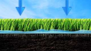 Be Water Smart  Lawn Watering Tips [upl. by Far676]