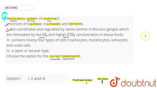 Respiratorysystem of cockroach I consists of tracheaetracheoles andspiracles IIare coordinat [upl. by Stearne843]