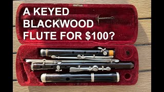 A Keyed Blackwood Irish Flute for 100 The Nach Meyer flute in 5 minutes [upl. by Ahseined]