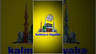 Islamic Kalimas in Arabic  Learn Six Kalimas by Qari Muhammad Mohsin Qadri shorts youtubeshorts [upl. by Remle]