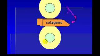 Poderes de la Vitamina C [upl. by Ailliw]