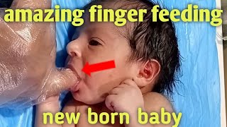 baby finger feeding feeding finger [upl. by Arihaz]