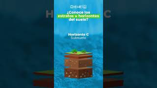 🌱 CONOCE LAS 6 HORIZONTES DEL SUELO [upl. by Ahsiatal428]