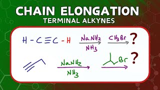 Chain Elongation via Alkylation of Terminal Alkynes [upl. by Einal]