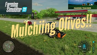 Mulching Olives on Farming Simulator 22 [upl. by Kristianson78]