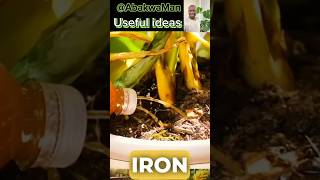 Simple Garden and conservation ideas shorts plants garden orto gardeningtips vegetables green [upl. by Lori664]