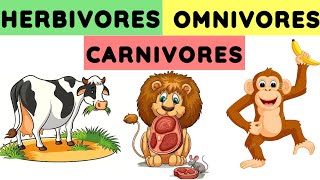 Herbivores carnivores and omnivores  Animals and their food  Eating habits of animals herbivores [upl. by Ybanrab]