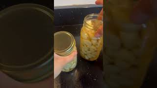 Did I make Pickled Garlic Soda garlic fermentedfoods pickled antiinflammatory [upl. by Almat271]