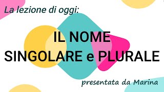 IL NOME SingolarePlurale  Videolezione per la classe PRIMA della scuola primaria [upl. by Swann]