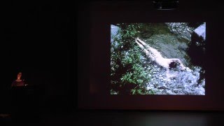 Raquel Cecilia Mendieta The Films of Ana Mendieta [upl. by Sperling]