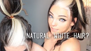 All about WHITE HAIR  Stef Sanjati [upl. by Derina805]