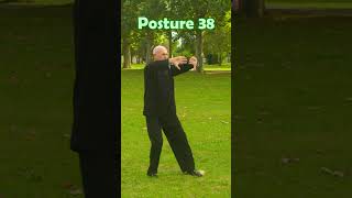 La forme de la Terre 38è posture nature martialarts taichichuan [upl. by Deborath]