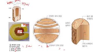 군자중 기술가정 재료의 이용 목재편 학습지 정리 입니다 [upl. by Melissa]