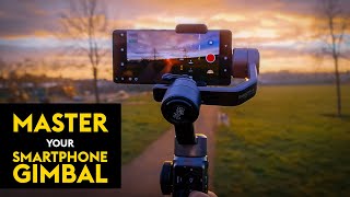 Beginners Guide to Smartphone Gimbals  DJI  Zhiyun  Hohem  Moza  Feiyutech [upl. by Arhez]