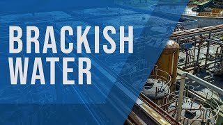 Brackish Water Treatment  Rochem India  Water Treatment Solutions [upl. by Enylorac]