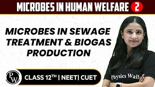 Microbes in Human Welfare 02  Microbes in Sewage Treatment amp Biogas Production  12thNEETCUET [upl. by Ordnasela153]