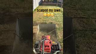 Scalped my lawn leveling using sand lawn diy [upl. by Howell]