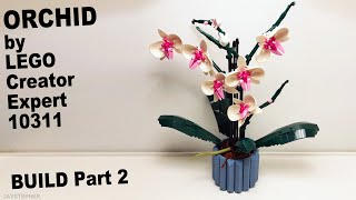 Orchid LEGO Creator Export Set 10311 Brick Build Part 2 [upl. by Ahsienal159]