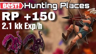 Tibia Where to Hunt elder wyrm Drefia  RP 150 Solo  21kk exph max  No Profit [upl. by Casimire]