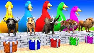 5 Giant Duck Monkey Piglet chicken dog mammothtiger Sheep Transfiguration funny animal 2023 [upl. by Kowatch423]