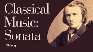 Sonata Form Explanation  Classical Music  Brahms Symphony No 3 [upl. by Dranal575]