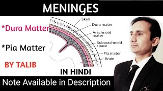 Meninges Anatomy amp Physiology in Hindi StructureFunction Dura mater  Arachnoid mater  Pia mater [upl. by Anette]