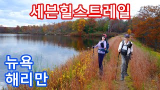 뉴욕 해리만  세븐힐스 트레일  가을낭만  단풍은 지금 여기에  호숫가 갈대밭  Harriman State Park Lake Wanoksink NY [upl. by Hairem850]