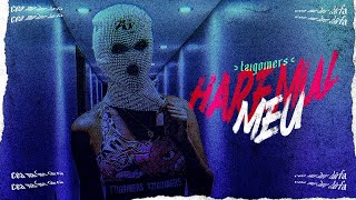 Tzigoiners  Haremul meu  Official Video [upl. by Eidnew]