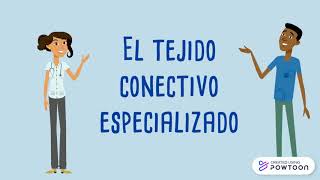 Tejido Conectivo especializadoParte 1 [upl. by Alsi]