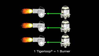 Tigerloop Advanced Information NORA version 4 [upl. by Gnok]