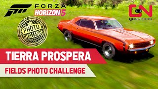 Forza Horizon 5 Where to Find TIERRA PROSPERA FIELDS Location for CountrySports Photo Challenge [upl. by Mathian]