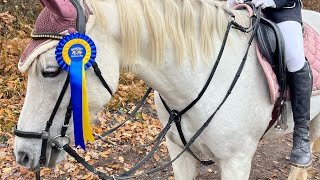 Lisa och Joys första tävling⭐️🇸🇪🥰🐎🙏🏻 [upl. by Idelson]