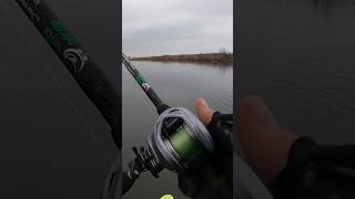 New Baitcaster Reel Ardent Vertex Contender [upl. by Tselec260]