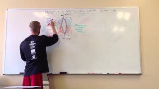 Mantle amp Marginal Layers Motor Development [upl. by Eerrahs]