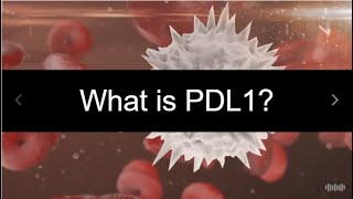 What is PDL1 [upl. by Ailat211]