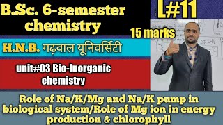 Bsc 6 semester chemistryrole of sodium potassium magnesium ionNak pumprole of mg chlorophyll [upl. by Ades]