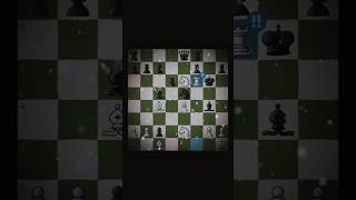 Queen Rook brilliancy chess [upl. by Anat949]