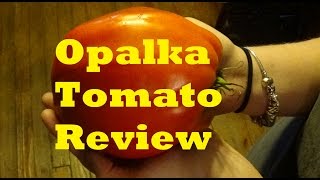 Opalka Tomato Review [upl. by Lebaron]