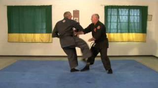 Genbukan Ninpo  South Africa  TaiJutsu demonstration [upl. by Enerahs]