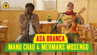 Manu Chao and Mermans Mosengo  Asa Branca Playing For Change Official Live Video [upl. by Sauveur424]