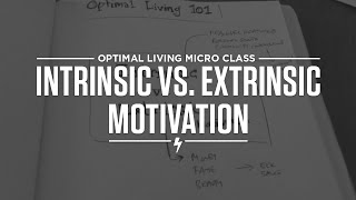 Intrinsic vs Extrinsic Motivation [upl. by Callie316]