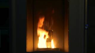 Enviro Mini Pellet Stove Burn Video [upl. by Eng]