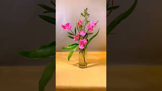 Pink Oleander Flower Arrangement  花藝 flowers [upl. by Eniluqaj]